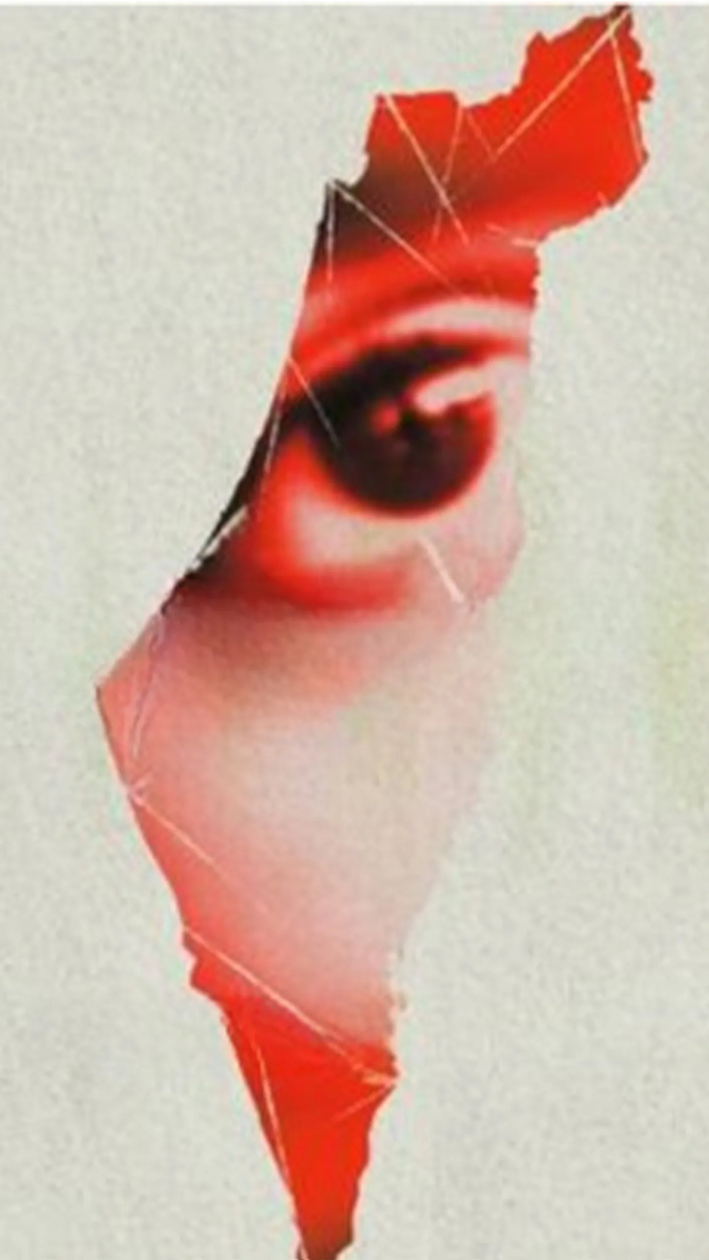 «Свидетель» TRT World признан лучшим документальным фильмом на AWBFF